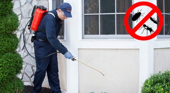 Canik Böcek İlaçlama böcek ilaçlama ve haşere kontrolü — ilaclama-tr.com